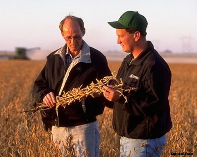 Inspecting soybeans